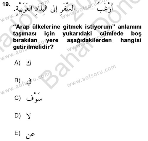 Arapça 2 Dersi 2021 - 2022 Yılı (Final) Dönem Sonu Sınavı 19. Soru