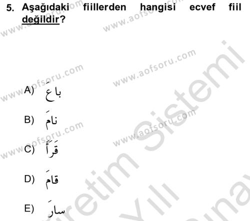 Arapça 2 Dersi 2021 - 2022 Yılı (Final) Dönem Sonu Sınavı 5. Soru