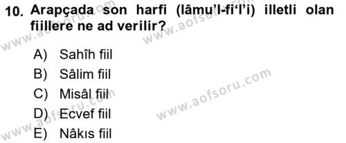 Arapça 2 Dersi 2021 - 2022 Yılı Yaz Okulu Sınavı 10. Soru