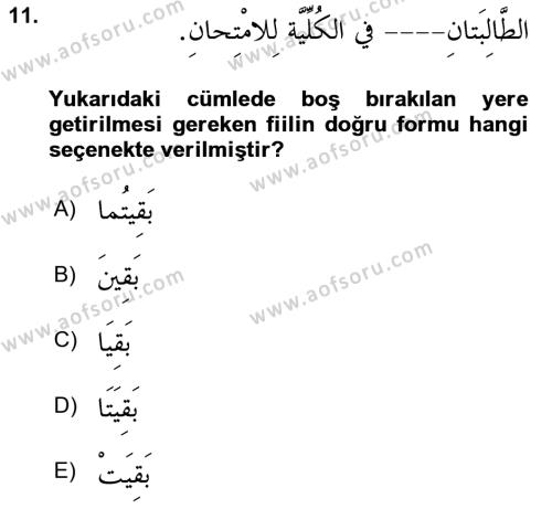 Arapça 2 Dersi 2021 - 2022 Yılı Yaz Okulu Sınavı 11. Soru