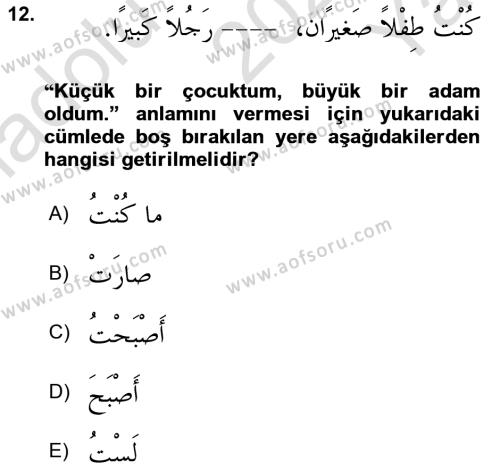 Arapça 2 Dersi 2021 - 2022 Yılı Yaz Okulu Sınavı 12. Soru