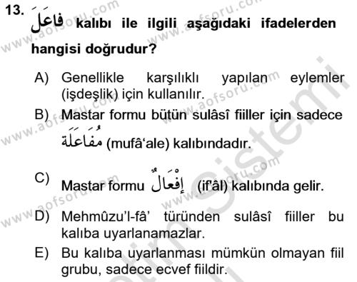 Arapça 2 Dersi 2021 - 2022 Yılı Yaz Okulu Sınavı 13. Soru