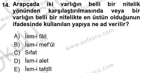 Arapça 2 Dersi 2021 - 2022 Yılı Yaz Okulu Sınavı 14. Soru