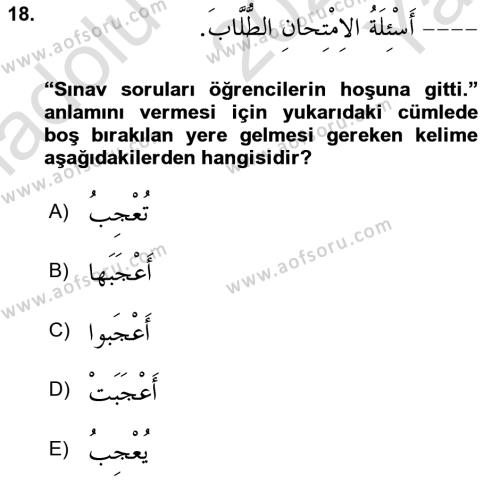 Arapça 2 Dersi 2021 - 2022 Yılı Yaz Okulu Sınavı 18. Soru