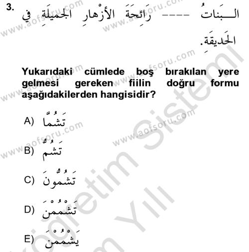 Arapça 2 Dersi 2021 - 2022 Yılı Yaz Okulu Sınavı 3. Soru