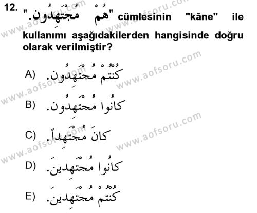 Arapça 2 Dersi 2022 - 2023 Yılı Yaz Okulu Sınavı 12. Soru