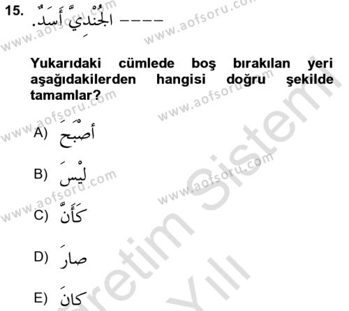 Arapça 2 Dersi 2022 - 2023 Yılı Yaz Okulu Sınavı 15. Soru
