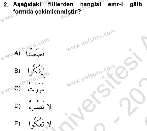 Arapça 2 Dersi 2022 - 2023 Yılı Yaz Okulu Sınavı 2. Soru