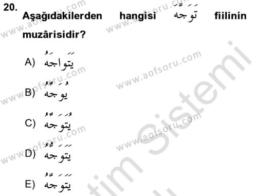 Arapça 2 Dersi 2022 - 2023 Yılı Yaz Okulu Sınavı 20. Soru