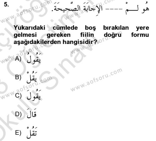 Arapça 2 Dersi 2022 - 2023 Yılı Yaz Okulu Sınavı 5. Soru