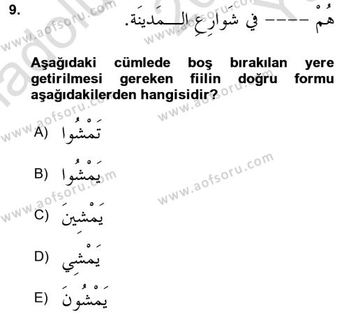 Arapça 2 Dersi 2022 - 2023 Yılı Yaz Okulu Sınavı 9. Soru