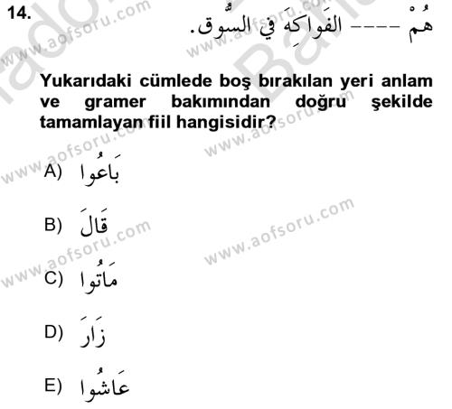 Arapça 2 Dersi 2023 - 2024 Yılı (Vize) Ara Sınavı 14. Soru
