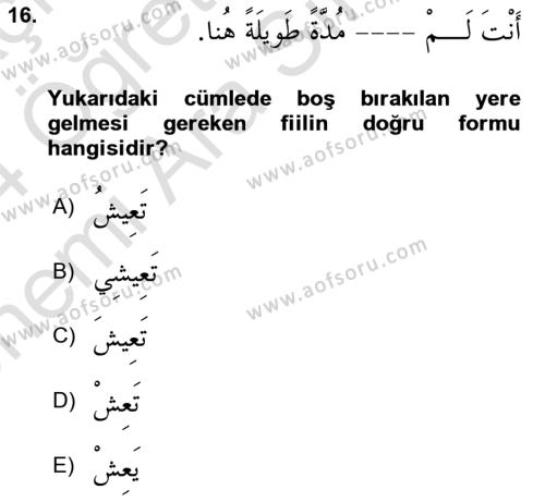 Arapça 2 Dersi 2023 - 2024 Yılı (Vize) Ara Sınavı 16. Soru