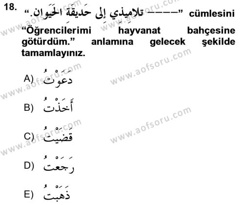Arapça 2 Dersi 2023 - 2024 Yılı (Vize) Ara Sınavı 18. Soru