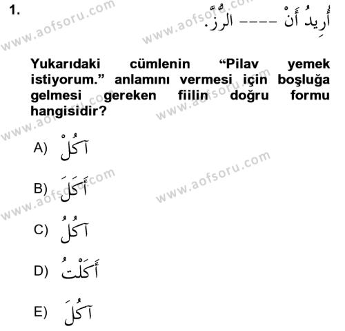 Arapça 2 Dersi 2023 - 2024 Yılı (Final) Dönem Sonu Sınavı 1. Soru