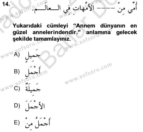Arapça 2 Dersi 2023 - 2024 Yılı (Final) Dönem Sonu Sınavı 14. Soru