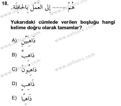 Arapça 2 Dersi 2023 - 2024 Yılı (Final) Dönem Sonu Sınavı 18. Soru