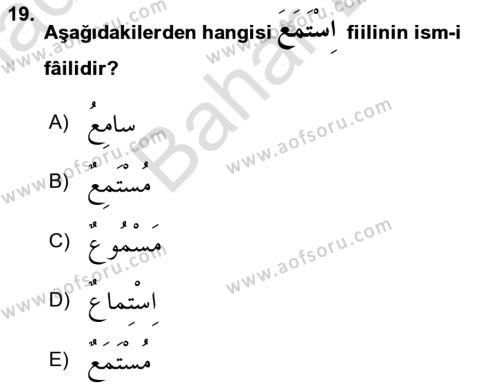 Arapça 2 Dersi 2023 - 2024 Yılı (Final) Dönem Sonu Sınavı 19. Soru