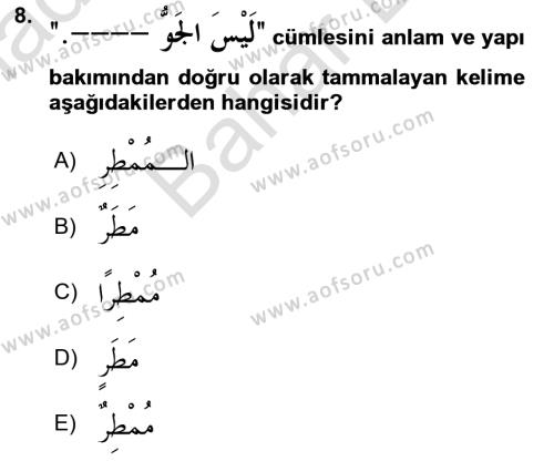 Arapça 2 Dersi 2023 - 2024 Yılı (Final) Dönem Sonu Sınavı 8. Soru