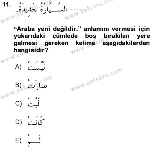 Arapça 2 Dersi 2023 - 2024 Yılı Yaz Okulu Sınavı 11. Soru