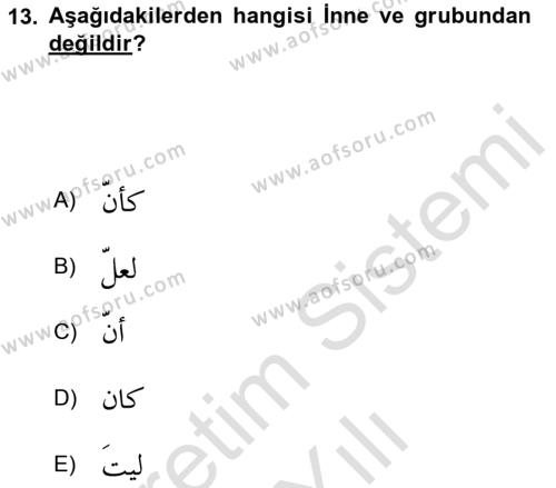 Arapça 2 Dersi 2023 - 2024 Yılı Yaz Okulu Sınavı 13. Soru