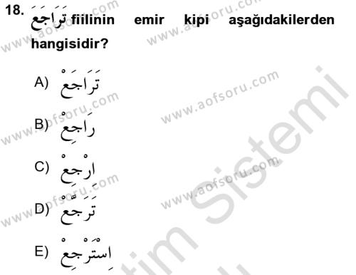 Arapça 2 Dersi 2023 - 2024 Yılı Yaz Okulu Sınavı 18. Soru