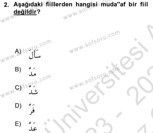 Arapça 2 Dersi 2023 - 2024 Yılı Yaz Okulu Sınavı 2. Soru