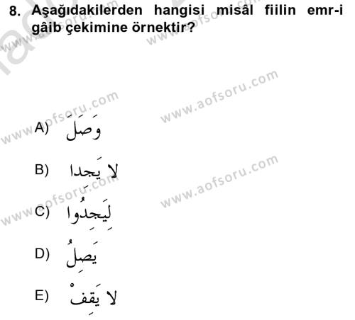 Arapça 2 Dersi 2023 - 2024 Yılı Yaz Okulu Sınavı 8. Soru