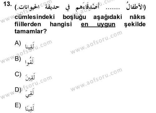 Arapça 3 Dersi 2013 - 2014 Yılı (Vize) Ara Sınavı 13. Soru