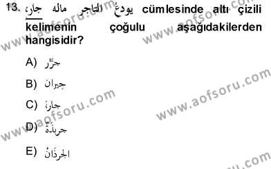 Arapça 3 Dersi 2013 - 2014 Yılı (Final) Dönem Sonu Sınavı 13. Soru