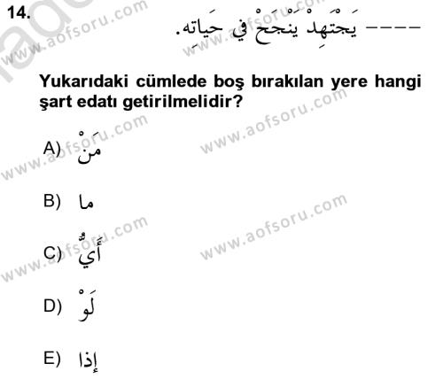 Arapça 3 Dersi 2020 - 2021 Yılı Yaz Okulu Sınavı 14. Soru