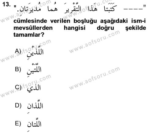 Arapça 3 Dersi 2021 - 2022 Yılı (Vize) Ara Sınavı 13. Soru