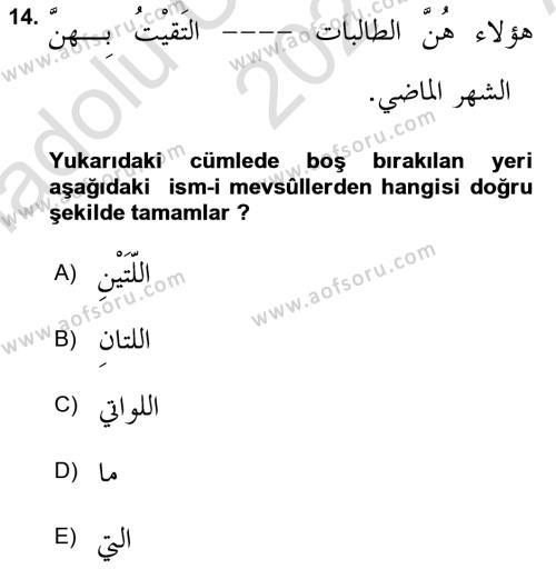 Arapça 3 Dersi 2021 - 2022 Yılı (Vize) Ara Sınavı 14. Soru