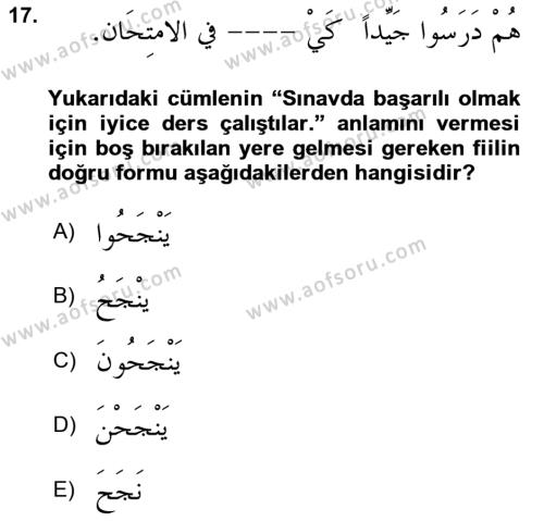 Arapça 3 Dersi 2021 - 2022 Yılı (Vize) Ara Sınavı 17. Soru