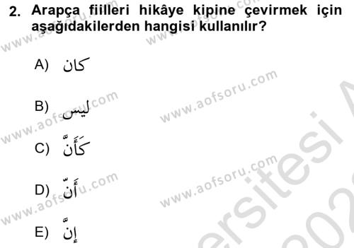 Arapça 3 Dersi 2021 - 2022 Yılı (Vize) Ara Sınavı 2. Soru