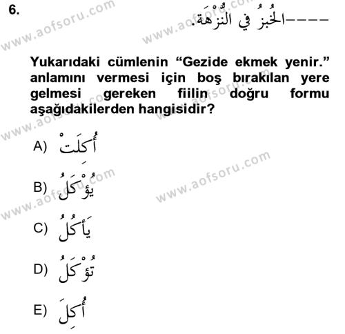Arapça 3 Dersi 2021 - 2022 Yılı (Vize) Ara Sınavı 6. Soru