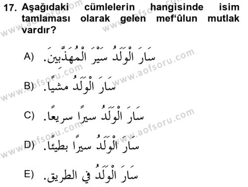 Arapça 3 Dersi 2021 - 2022 Yılı (Final) Dönem Sonu Sınavı 17. Soru