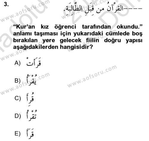 Arapça 3 Dersi 2021 - 2022 Yılı (Final) Dönem Sonu Sınavı 3. Soru