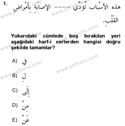 Arapça 3 Dersi 2021 - 2022 Yılı Yaz Okulu Sınavı 1. Soru