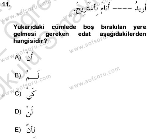 Arapça 3 Dersi 2021 - 2022 Yılı Yaz Okulu Sınavı 11. Soru