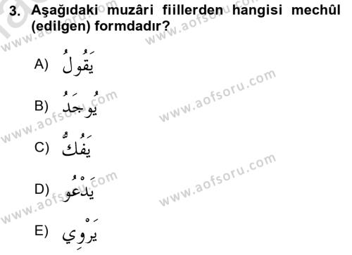 Arapça 3 Dersi 2021 - 2022 Yılı Yaz Okulu Sınavı 3. Soru