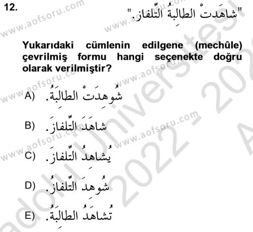 Arapça 3 Dersi 2022 - 2023 Yılı (Vize) Ara Sınavı 12. Soru