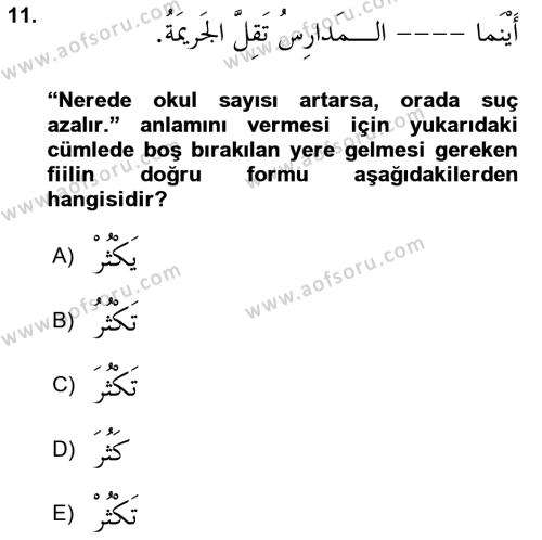 Arapça 3 Dersi 2022 - 2023 Yılı (Final) Dönem Sonu Sınavı 11. Soru