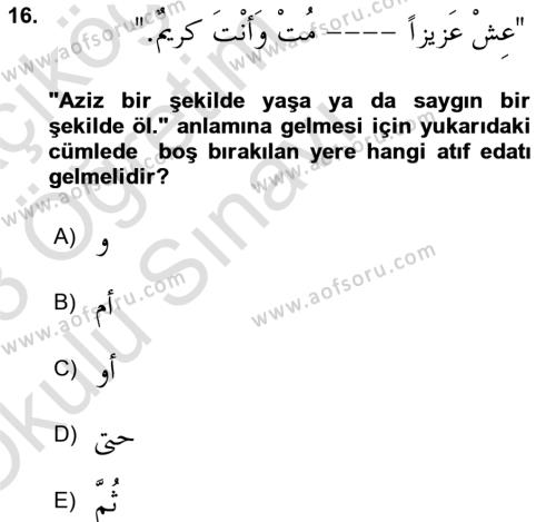 Arapça 3 Dersi 2022 - 2023 Yılı Yaz Okulu Sınavı 16. Soru