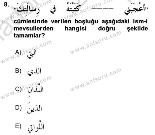 Arapça 3 Dersi 2022 - 2023 Yılı Yaz Okulu Sınavı 8. Soru
