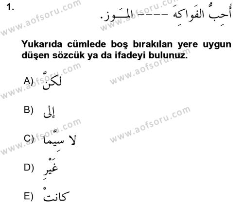 Arapça 3 Dersi 2023 - 2024 Yılı (Vize) Ara Sınavı 1. Soru