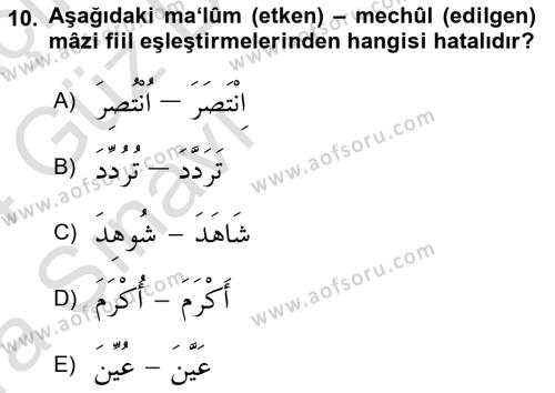 Arapça 3 Dersi 2023 - 2024 Yılı (Vize) Ara Sınavı 10. Soru