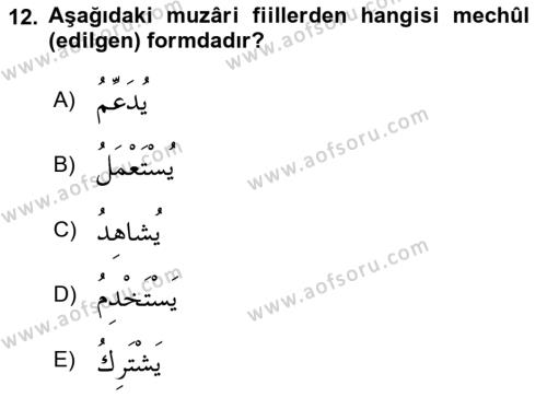 Arapça 3 Dersi 2023 - 2024 Yılı (Vize) Ara Sınavı 12. Soru