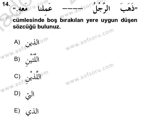 Arapça 3 Dersi 2023 - 2024 Yılı (Vize) Ara Sınavı 14. Soru