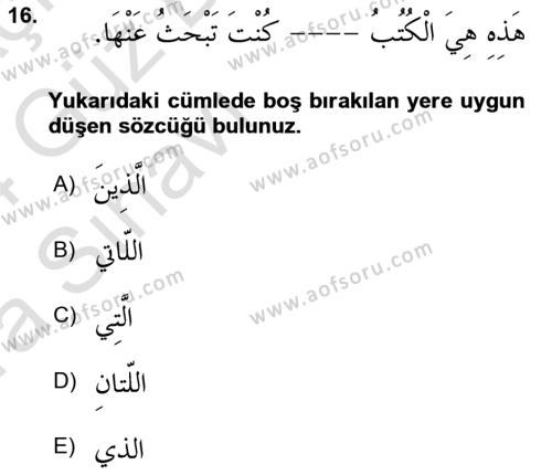 Arapça 3 Dersi 2023 - 2024 Yılı (Vize) Ara Sınavı 16. Soru